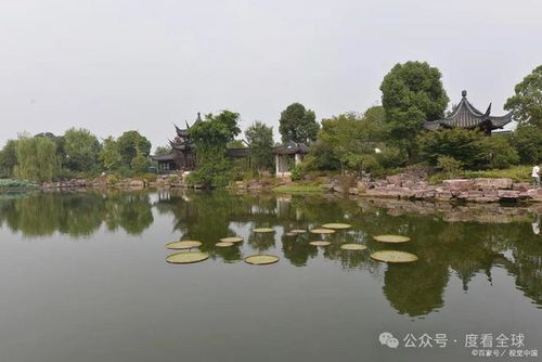 杭州有哪些好玩的景點 杭州旅游攻略 這些景點,去了絕不后悔