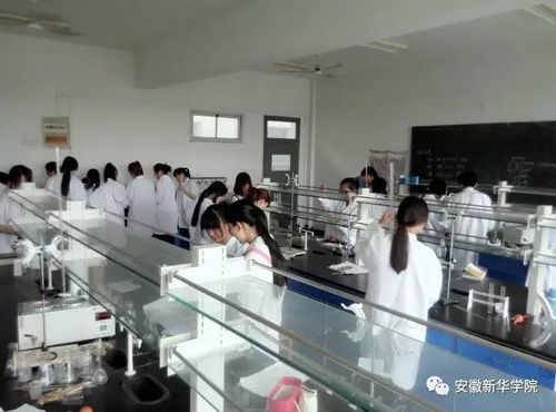 教授帶你逛專業 之藥學院 工程和技術研究與試驗發展的融合與前景